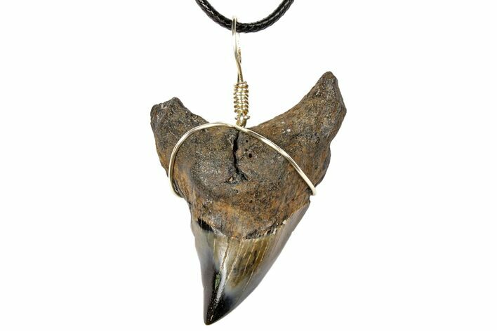 Fossil Shark (Benedini) Tooth Necklace #130918
